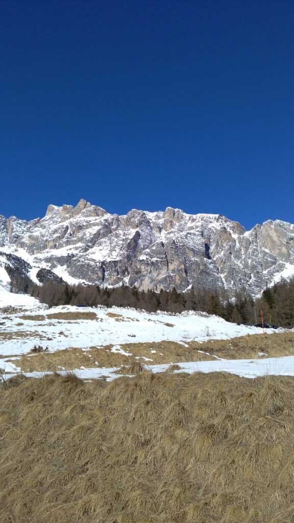 dintorni 1